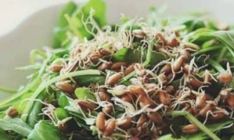 Germeni din grâu - beneficii și modalități de utilizare