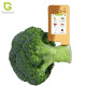 Tester de nitrati Fructe, legume si Carne Greentest ECO6T Gold Tester de nitrati Fructe, legume si Carne Greentest ECO6T Gold