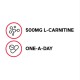 Gnc Gentlesorb Iron 18 Mg, Fier Cu Absorbtie Usoara 18 Mg , 90 Cps Gnc Gentlesorb Iron 18 Mg, Fier Cu Absorbtie Usoara 18 Mg , 90 Cps