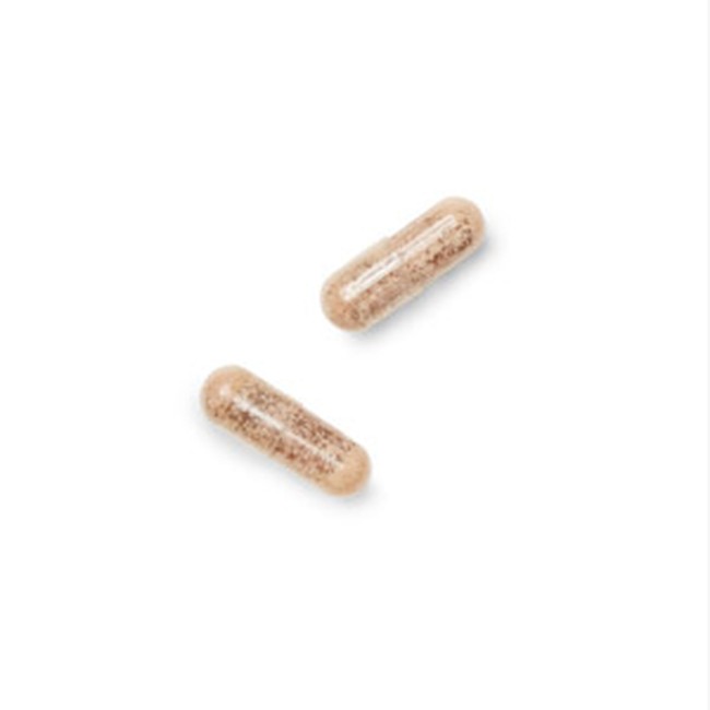 Gnc Gentlesorb Iron 18 Mg, Fier Cu Absorbtie Usoara 18 Mg , 90 Cps Gnc Gentlesorb Iron 18 Mg, Fier Cu Absorbtie Usoara 18 Mg , 90 Cps