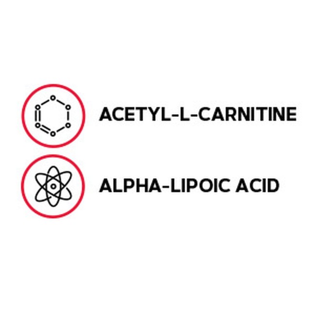 Gnc Acetyl-l-carnitine Alpha-lipoic Acid, Ala Acetil L-carnitina 500 Mg Si Acid Alfa Lipoic 200 Mg, 60 Tb Gnc Acetyl-l-carnitine Alpha-lipoic Acid, Ala Acetil L-carnitina 500 Mg Si Acid Alfa Lipoic 200 Mg, 60 Tb