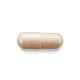 Gnc Herbal Plus Maca Complex, 60 Cps Gnc Herbal Plus Maca Complex, 60 Cps