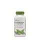 Gnc Superfoods Soy Isoflavone Concentrate, Isoflavone Din Soia, 90 Cps Gnc Superfoods Soy Isoflavone Concentrate, Isoflavone Din Soia, 90 Cps