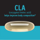 Gnc Total Lean Cla, Acid Linoleic Conjugat, 180 Cps Gnc Total Lean Cla, Acid Linoleic Conjugat, 180 Cps