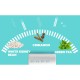 Codeage Keto Carb Focus, Formula Pentru Inhibarea Asimilarii De Carbohidrati, 180 Cps Codeage Keto Carb Focus, Formula Pentru Inhibarea Asimilarii De Carbohidrati, 180 Cps