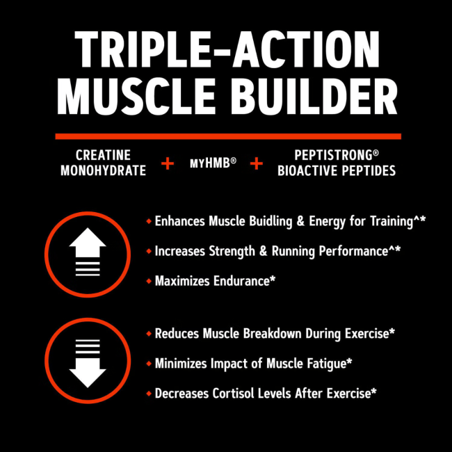 Gnc Amp Creabolic, Formula Premium De Creatina Monohidrata, Hmb, Peptistrong Pentru Forta Si Masa Musculara, Cu Aroma De Fructe Tropicale, 408 G