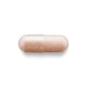 Gnc Herbal Plus Grape Seed 300 Mg, Extract Din Seminte De Struguri, 100 Cps Gnc Herbal Plus Grape Seed 300 Mg, Extract Din Seminte De Struguri, 100 Cps