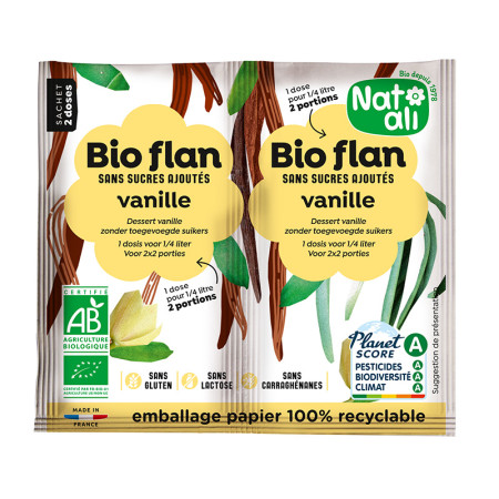 Budinca de vanilie bio 2 bucati x 4.5g Nat-Ali