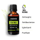 Ulei Esential de Tea Tree 30ml Ulei Esential de Tea Tree 30ml