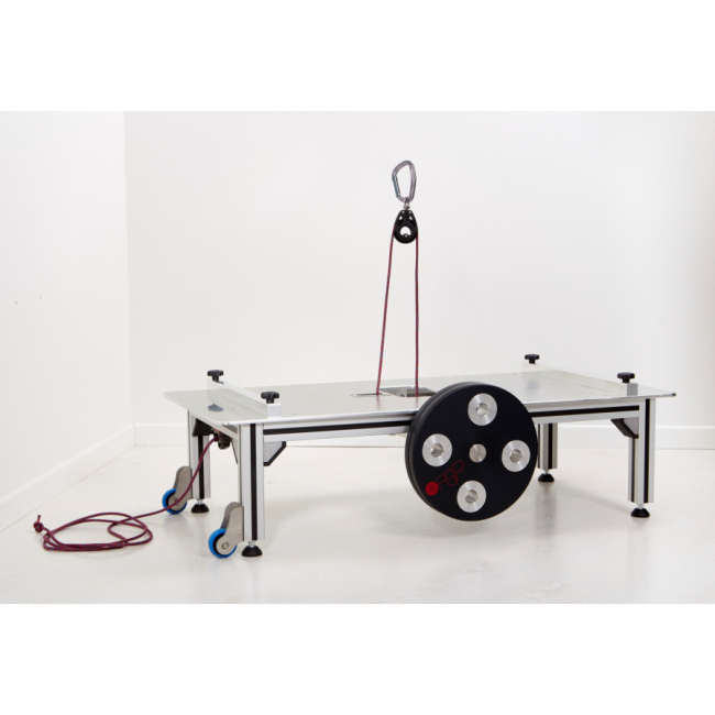 ECCENTRIC FLYWHEEL - RSP SQUAT ECCENTRIC FLYWHEEL - RSP SQUAT