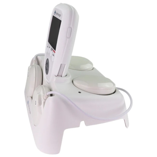 WIRELESS PROFESSIONAL 2CH STANDARD WIRELESS PROFESSIONAL 2CH STANDARD