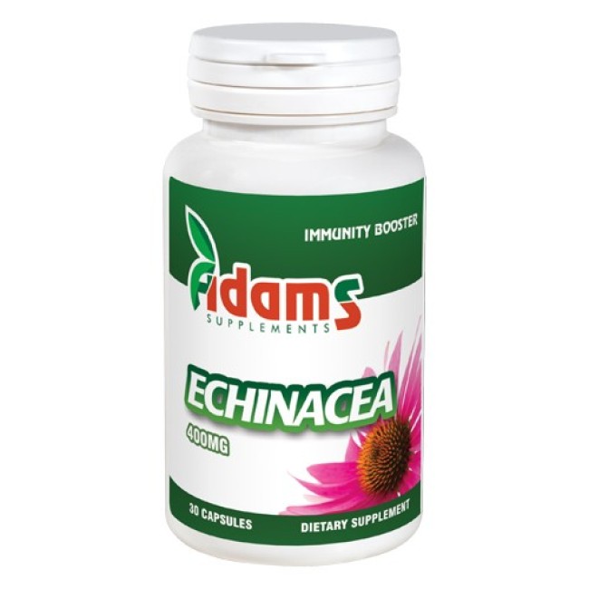 Echinacea 400mg 30cps Adams Supplements Echinacea 400mg 30cps Adams Supplements